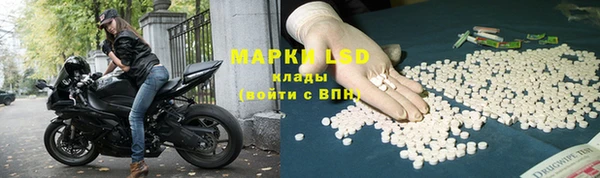 PSILOCYBIN Абинск