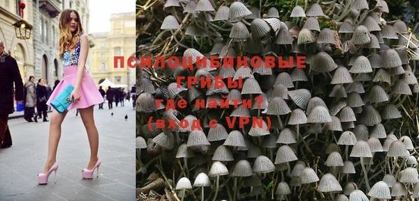 PSILOCYBIN Абинск