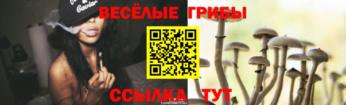 Псилоцибиновые грибы мицелий  Галлюциногенные грибы прущие грибы  Вход с VPN  цены   Фурманов 